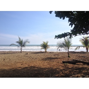 รูปถ่าย คอสตาริกา(Costa Rica) โดมินิกัล(Dominical) 2015-03 35