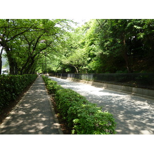 รูปถ่าย ญี่ปุ่น(Japan) โตเกียว(Tokyo) สวนชิบะ(Shiba Park) 2010-06 61