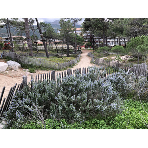 รูปถ่าย ฝรั่งเศส(France) คอร์สิคา(Corsica) คาลวี(Calvi) 2020-10 14