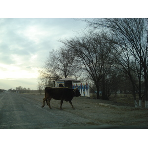 รูปถ่าย คาซัคสถาน(Kazakhstan) ถนนจากอัลมาตีไปหุบผาชารึน(Almaty to Charyn Canyon road) 2007-03 90