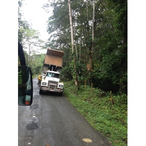 รูปถ่าย คอสตาริกา(Costa Rica) ปวยร์โตเบียโฆเดตาลามังกา(Puerto Viejo de Talamanca) 2015-03 96