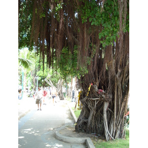 รูปถ่าย ไทย(Thailand) หาดพัทยา(Pattaya Beach) 2007-02 42