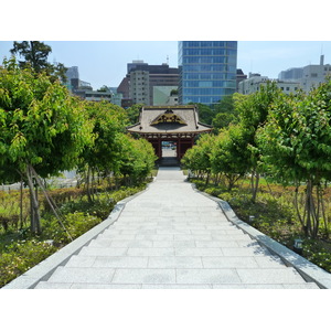 รูปถ่าย ญี่ปุ่น(Japan) โตเกียว(Tokyo) สวนชิบะ(Shiba Park) 2010-06 0
