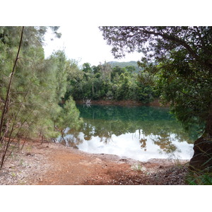รูปถ่าย นิวแคลิโดเนีย(New Caledonia) อุทยานริเวียร์เบลอ(Parc de la Riviere Bleue) 2010-05 2