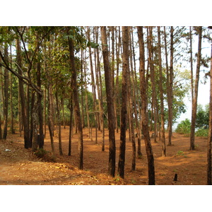 รูปถ่าย ไทย(Thailand) ถนนจากเชียงใหม่ไปปาย(Chiang Mai to Pai road) 2007-02 125