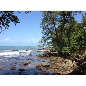 รูปถ่าย คอสตาริกา(Costa Rica) กาอุยตา(Cahuita) 2015-03 42