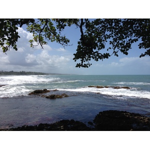 รูปถ่าย คอสตาริกา(Costa Rica) กาอุยตา(Cahuita) 2015-03 72