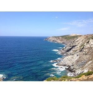 รูปถ่าย อิตาลี(Italy) ซาร์ดิเนีย(Sardinia) แหลมกาโปเดลฟัลโกเน(Capo del Falcone) 2015-06 39