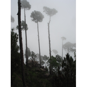 รูปถ่าย ปากีสถาน(Pakistan) มืร์รี(Murree) 2006-08 156