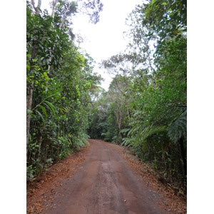 รูปถ่าย นิวแคลิโดเนีย(New Caledonia) อุทยานริเวียร์เบลอ(Parc de la Riviere Bleue) 2010-05 14