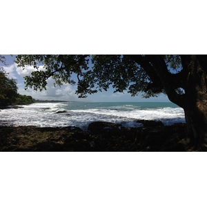 รูปถ่าย คอสตาริกา(Costa Rica) กาอุยตา(Cahuita) 2015-03 0