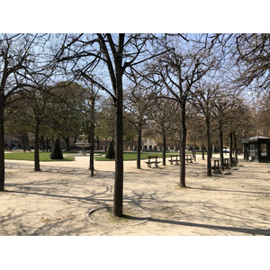 รูปถ่าย ฝรั่งเศส(France) ปารีสช่วงล็อกดาวน์(Paris lockdown) 2020-03 142