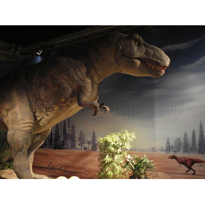 รูปถ่าย ฝรั่งเศส(France) ปารีส(Paris) ปาเลเดอลาเดกูแวร์ต(Palace of Discovery) 2006-04 47