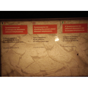 รูปถ่าย ฝรั่งเศส(France) ปารีส(Paris) ปาเลเดอลาเดกูแวร์ต(Palace of Discovery) 2006-04 42