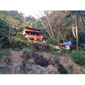 รูปถ่าย คอสตาริกา(Costa Rica) มานวยล์อันโตนีโอ(Manuel Antonio) 2015-03 405