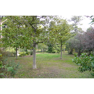 รูปถ่าย อิตาลี(Italy) โรม(Rome) วิลลาชาร์รา(Villa Sciarra) 2007-11 1