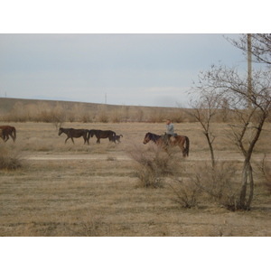 รูปถ่าย คาซัคสถาน(Kazakhstan) ถนนจากอัลมาตีไปหุบผาชารึน(Almaty to Charyn Canyon road) 2007-03 81