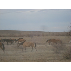 รูปถ่าย คาซัคสถาน(Kazakhstan) ถนนจากอัลมาตีไปหุบผาชารึน(Almaty to Charyn Canyon road) 2007-03 91