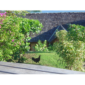 รูปถ่าย เฟรนช์โพลี่นีเซีย(Polynesia) หมู่เกาะมาร์เคซัส(Marquises) 2006-04 150