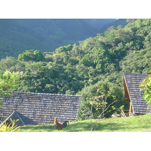 รูปถ่าย เฟรนช์โพลี่นีเซีย(Polynesia) หมู่เกาะมาร์เคซัส(Marquises) 2006-04 140