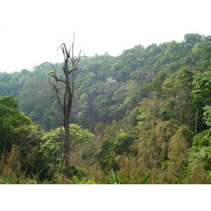 รูปถ่าย ไทย(Thailand) ถนนจากเชียงใหม่ไปปาย(Chiang Mai to Pai road) 2007-02 63