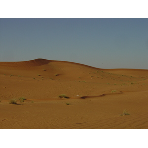 รูปถ่าย สหรัฐอาหรับเอมิเรตส์(United Arab Emirates) จากดูไบไปถนนอัลอิน(Dubai to Al Ain road) 2005-03 52