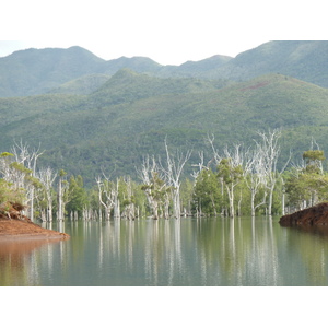 รูปถ่าย นิวแคลิโดเนีย(New Caledonia) อุทยานริเวียร์เบลอ(Parc de la Riviere Bleue) 2010-05 16