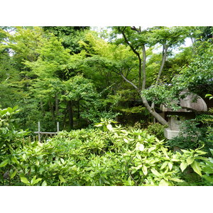 รูปถ่าย ญี่ปุ่น(Japan) โตเกียว(Tokyo) พิพิธภัณฑ์เนซุ(Nezu Museum) 2010-06 40