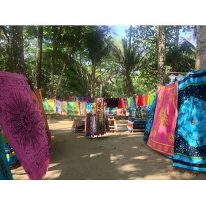 รูปถ่าย คอสตาริกา(Costa Rica) โดมินิกัล(Dominical) 2015-03 36