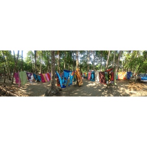 รูปถ่าย คอสตาริกา(Costa Rica) โดมินิกัล(Dominical) 2015-03 142