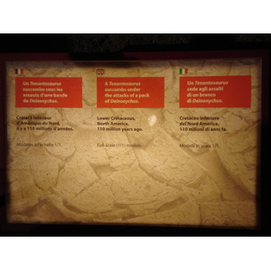 รูปถ่าย ฝรั่งเศส(France) ปารีส(Paris) ปาเลเดอลาเดกูแวร์ต(Palace of Discovery) 2006-04 44