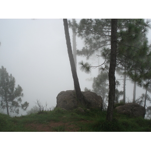 รูปถ่าย ปากีสถาน(Pakistan) มืร์รี(Murree) 2006-08 28