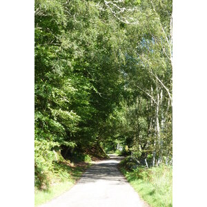 รูปถ่าย อังกฤษ(United Kingdom) สกอตแลนด์(Scotland) เซเลน(Salen) 2011-07 50