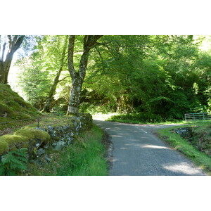 รูปถ่าย อังกฤษ(United Kingdom) สกอตแลนด์(Scotland) เซเลน(Salen) 2011-07 70