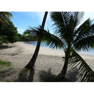 รูปถ่าย นิวแคลิโดเนีย(New Caledonia) ทีโอ(Thio) 2010-05 27