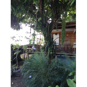 รูปถ่าย คอสตาริกา(Costa Rica) กาอุยตา(Cahuita) 2015-03 138