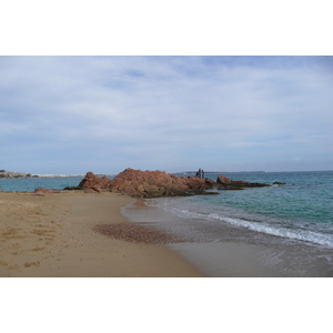 รูปถ่าย ฝรั่งเศส(France) ม็องเดอลีเยอ(Mandelieu) 2008-03 54