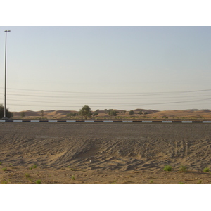 รูปถ่าย สหรัฐอาหรับเอมิเรตส์(United Arab Emirates) อาเลอิน(Al Ain) 2005-11 15