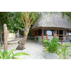 รูปถ่าย ฟิจิ(Fiji) เกาะบีชโคมเบอร์(Beachcomber Island) 2010-05 69