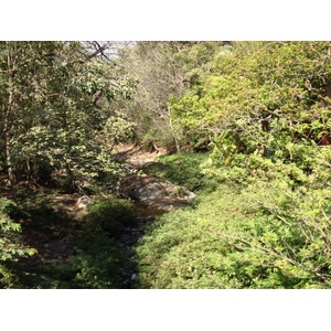 รูปถ่าย คอสตาริกา(Costa Rica) มอนเตซูมา(Montezuma) 2015-03 315