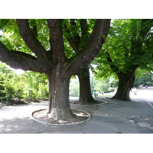รูปถ่าย ฝรั่งเศส(France) ปารีส(Paris) สวนบุต-โชมง(Parc des Buttes Chaumont) 2007-08 212