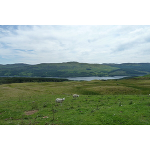 รูปถ่าย อังกฤษ(United Kingdom) ทรอสซักส์(The Trossachs) 2011-07 76
