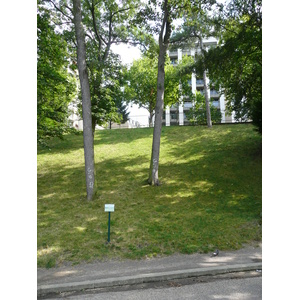 รูปถ่าย ฝรั่งเศส(France) ปารีส(Paris) สวนบุต-โชมง(Parc des Buttes Chaumont) 2007-08 263