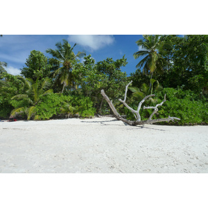 รูปถ่าย เซเชลส์(Seychelles) อ่าวอ็องส์ลาซิโอ(Anse Lazio) 2011-10 171