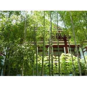 รูปถ่าย ญี่ปุ่น(Japan) โตเกียว(Tokyo) สวนชิบะ(Shiba Park) 2010-06 47
