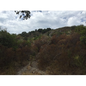 รูปถ่าย ฝรั่งเศส(France) คอร์สิคา(Corsica) ตอกซ์(Tox) 2017-09 3