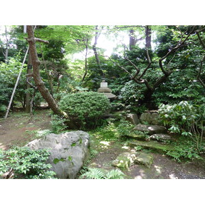รูปถ่าย ญี่ปุ่น(Japan) โตเกียว(Tokyo) พิพิธภัณฑ์เนซุ(Nezu Museum) 2010-06 94