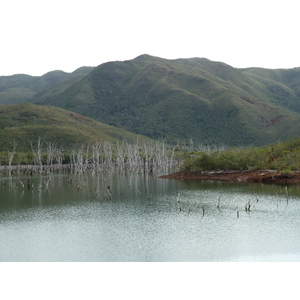 รูปถ่าย นิวแคลิโดเนีย(New Caledonia) อุทยานริเวียร์เบลอ(Parc de la Riviere Bleue) 2010-05 91