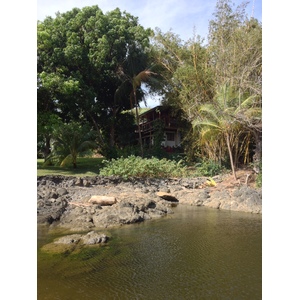 รูปถ่าย คอสตาริกา(Costa Rica) มอนเตซูมา(Montezuma) 2015-03 48