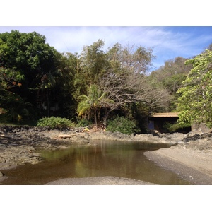 รูปถ่าย คอสตาริกา(Costa Rica) มอนเตซูมา(Montezuma) 2015-03 613